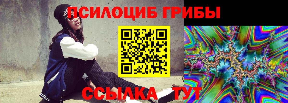Ефремов  Галлюциногенные грибы ЛСД  Вход с VPN 