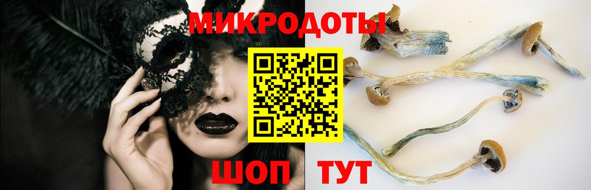 Галлюциногенные грибы мухоморы Ефремов